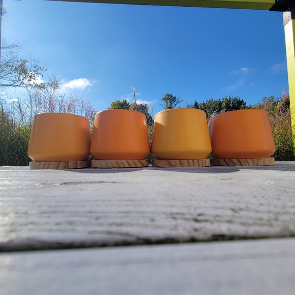 Orange & Yellow Succulent Planters ~ Vases  Candle Holders Boho  Cottage FINAL! - Picture 2 of 16